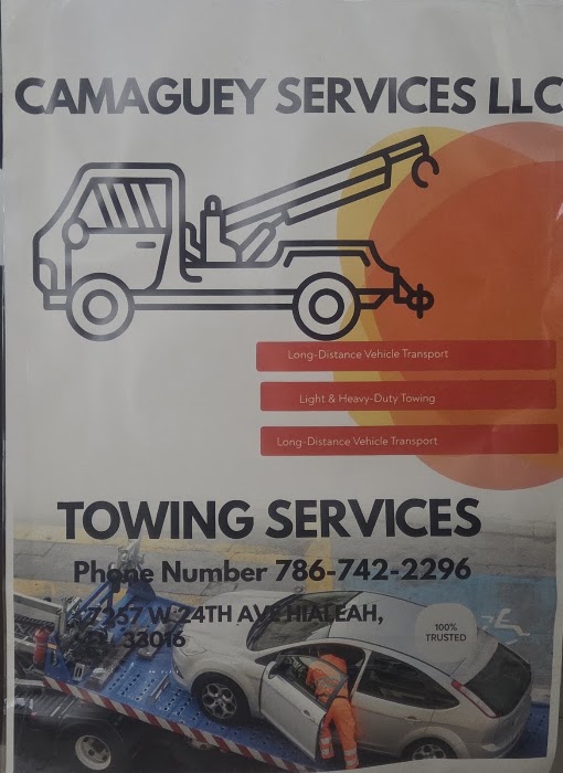Camaguey Services LLC